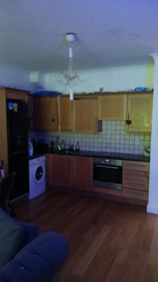 Heyward Mews Holiday Homes ダブリン エクステリア 写真